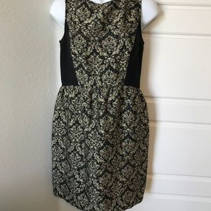 Gently Worn ANN TAYLOR/LOFT  Black & Gold Dress